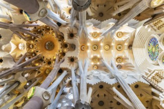 Barcelona, Spain, April 7, 2023: Interior of La Sagrada Familia cathedral, designed by Gaudi, it is