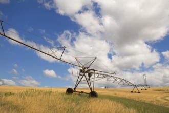 Irrigation equipment in the agricultural field