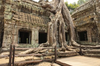 Ta Prohm temple complex near Angkor Wat in Cambodia