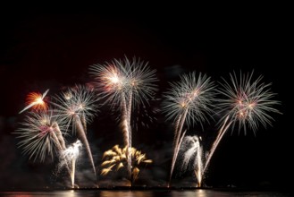 Real Fireworks display celebration, Colorful New Year Firework