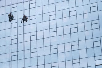 Two Worker Cleaning The Windows Of A High Rise Building Or Skyscraper, With Copy Space