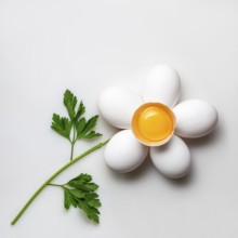 Creative concept photo of a flower made of eggs and parsley on a white background