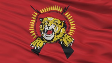 Tamil Tigers Flag, Closeup View