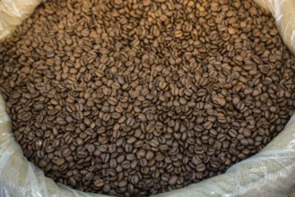 Coffee beans texture or coffee beans background
