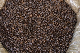 Coffee beans texture or coffee beans background
