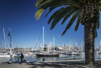 Urban marina view and pedestrian promenade in port vell area of barcelona spain