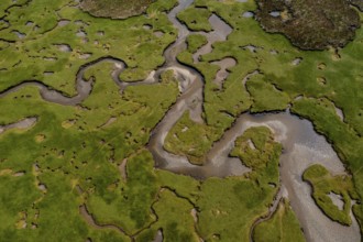 A top down view of the creeks and pools and rivers of the Carrowmore Lacken saltmarsh in northern
