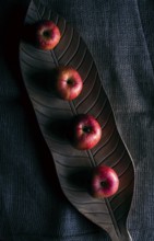 Red apples on a wooden tray in shape of a leaf, on a jute sack, in low light, above view