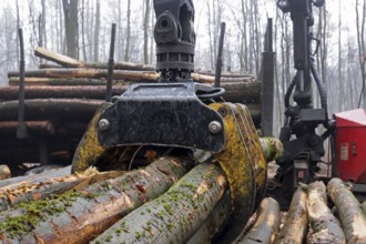 Forestry, forwarder