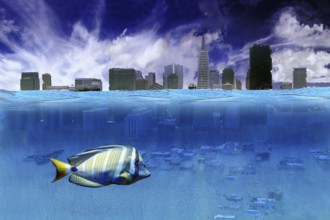 Due to the melting of the polar ice caps, only half of the San Francisco skyline could still be