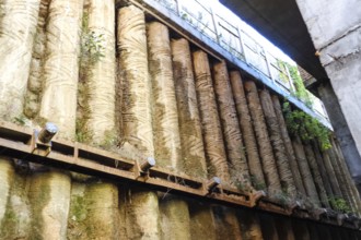 Old piles excavated during the reconstruction of Amursky Boulevard in Khabarovsk