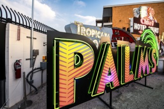 Palms, old neon advertising sign, Boneyard, Neon Museum, Las Vegas, Nevada, USA