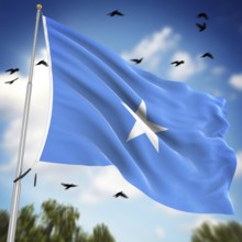 Flag of Somalia, This is a computer generated and 3d rendered image