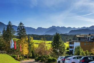 Green meadows, Allgäu Alps and mixed forest with colourful flags near Ofterschwang, Allgäu,