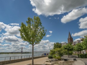 A tree and a church next to a footpath with a river and a bridge in the background, emmerich, lower