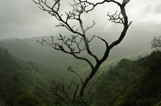 Darshan point, Amba Ghat, Shahuwadi, Kolhapur, Maharashtra, India Asia