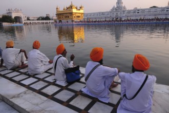 Golden temple, amritsar, punjab, india, asia
