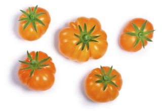 Yellow ribbed heirloom tomatoes (Solanum lycopersicum var. Togorific). Clipping paths, shadows