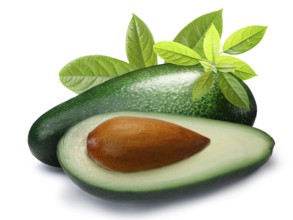 Whole and half green avocado Fuerte (Persea americana) with leaves. Clipping paths, shadow
