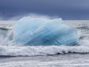 Diamond Beach, iceberg in the surf, near Jökulsarlon glacier lagoon, Vatnajökull National Park,