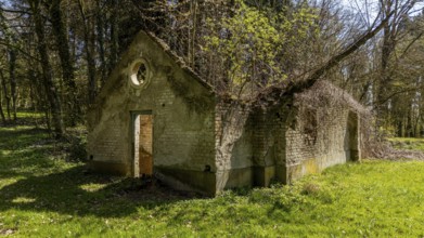 Old, overgrown brick structure in natural forest surroundings in the sunlight, New Steinach Castle,