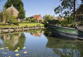 Reed the Three Sisters in the Breede Vaart in the Brabant village of Drimmelen