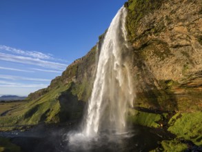 Seljalandsfoss waterfall, South Iceland, Iceland