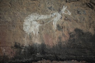 Depiction of a kangaroo, Kakadu National Park, Northern Territory, Australia