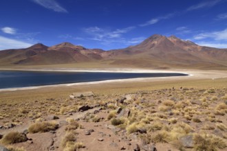 Laguna Miscanti in the Atacama Desert in Chile