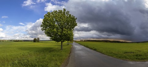 Harz landscape Selketal