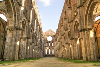 Photo shoot of the famous roofless church of San Galgano in the lands near Siena Italy