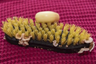Close-up of weathered root brush with sponge - cleaning brush