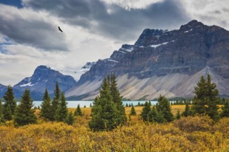 Snow-covered mountains and the turned yellow autumn vegetation round Bow Lake