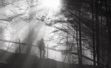 Black and white image with the silhouette of a man hiking through woods, on trails illuminated by