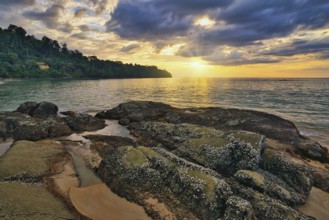 Tropical sea beach sunset with rock coast and ocean wave at Khao Lak, Phang Nga Thailand nature
