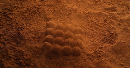 Chocolate Powder falling on Chocolate Truffles