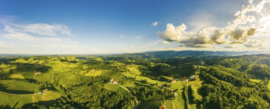 South styria vineyards aerial panorama landscape. Grape hills view from wine street in summer.