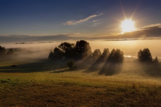 Sunrise on the Biebrza River in the Biebrza National Park. Burzyn, Podlasie, Poland