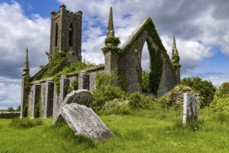Ballynafagh Church Ruin, County Kildare, Ireland