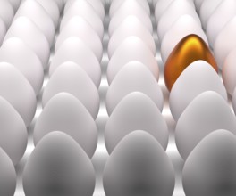 One golden Easter egg with many natural white eggs on a studio background, 3d rendering