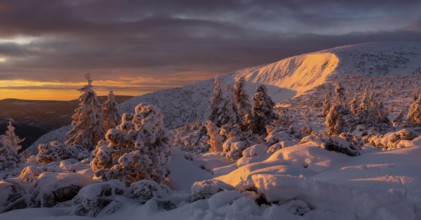 Sunrise in winter in the Karkonosze Mountains. Karkonosze National Park, Poland