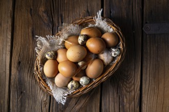 Fresh eggs straight from the farm in a basket