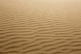 Desert sand dunes texture in Maspalomas Gran Canaria at Canary islands