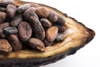 Cocoa (cacao) beans on a beanpod with focus on foreground
