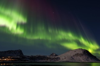 Northern Lights (Aurora borealis), Aurora Borealis, Lofoten, Norway