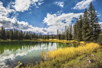 The small superficial lake is surrounded with coniferous forest. The smooth surface of water