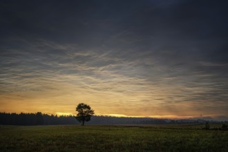 Wigry - beautiful polish unspoilt nature, a wonderful destination for vacation and relaxation