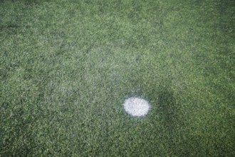 Soccer Field Penalty Spot, Artificial Grass Soccer Field