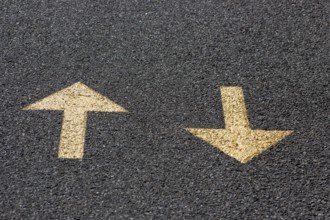 Yellow arrows on the asphalt road, back and forth