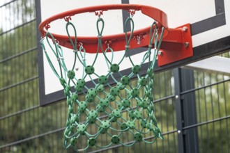 Basketball hoop on the playground